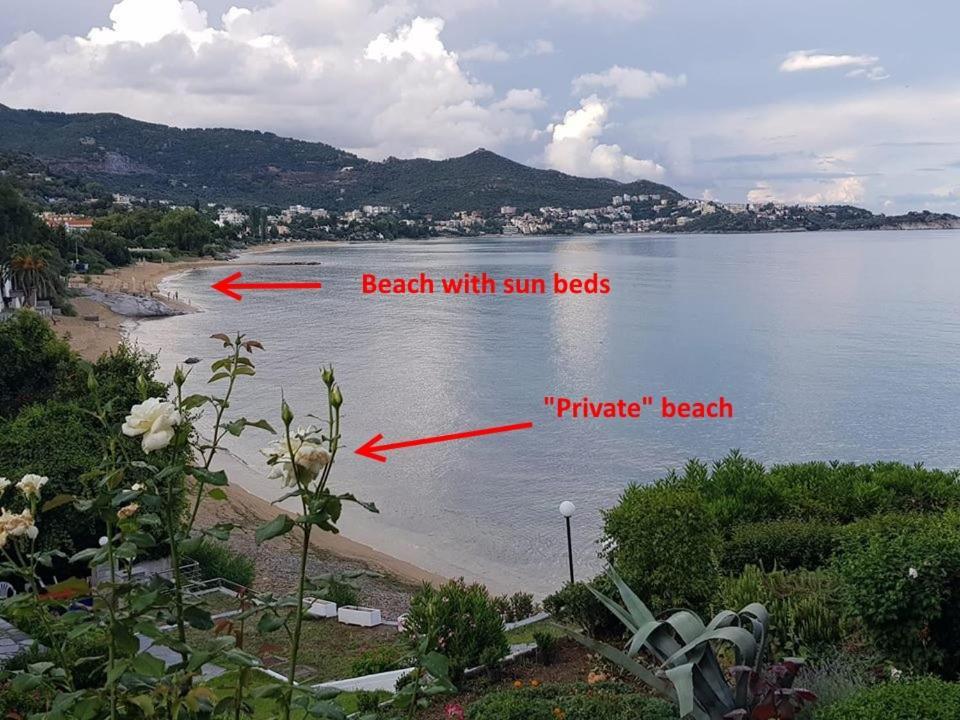 PalaiónTsiflíkion Evaliana Seaside Apartment מראה חיצוני תמונה