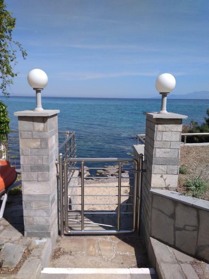 PalaiónTsiflíkion Evaliana Seaside Apartment מראה חיצוני תמונה