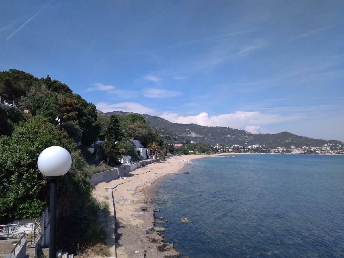 PalaiónTsiflíkion Evaliana Seaside Apartment מראה חיצוני תמונה
